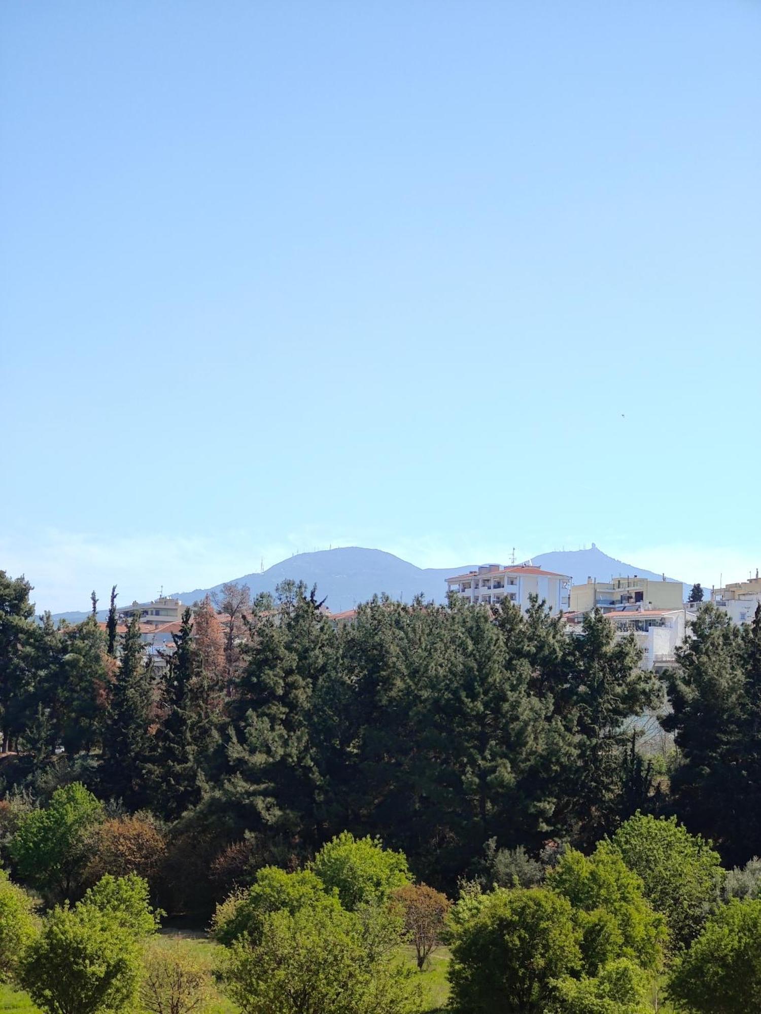 Celestial Garden-Thessaloniki'S Modern, Eclectic Penthouse With An Amazing View And Veranda Eksteriør billede